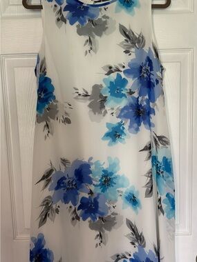 Blue Floral Dress - Sleeveless White Background